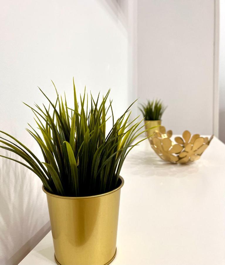 Maximilian dreams 2 Apartment Madrid Exterior foto